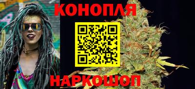прущие грибы Волгодонск